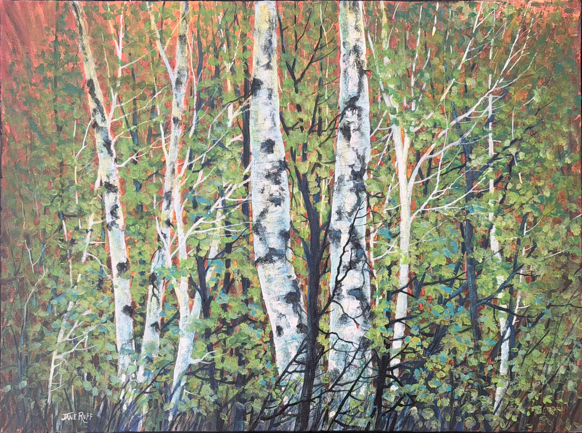 Midsummer Grove